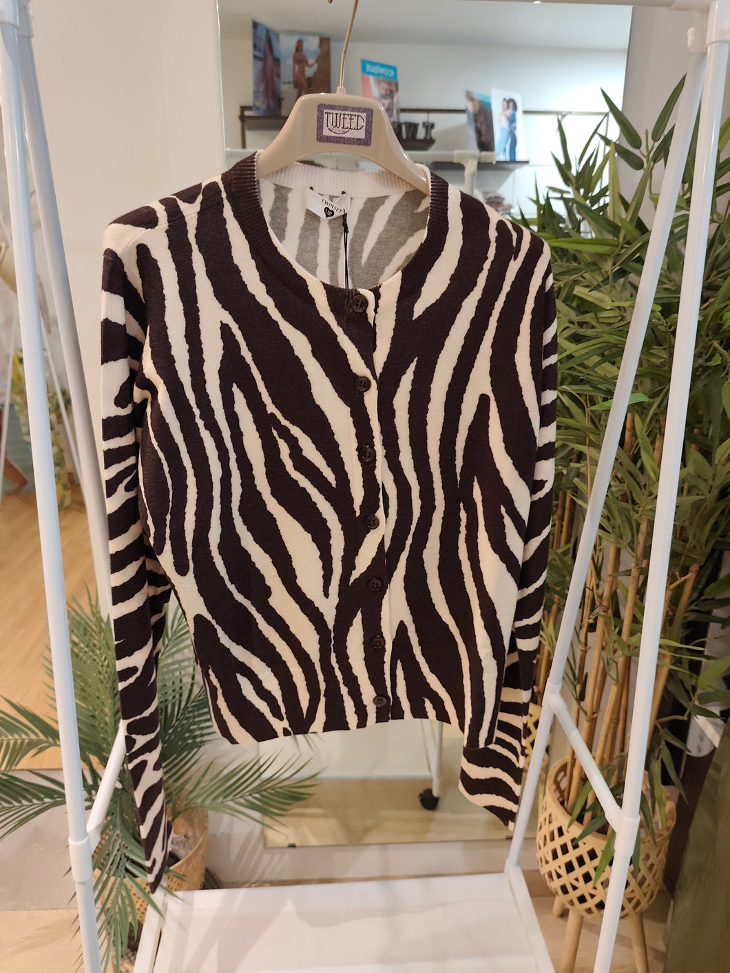 Golfino coreana zebra