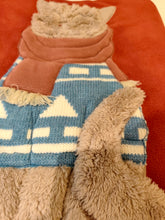 Carica l'immagine nel visualizzatore di Gallery, Plaid gatto sciarpa
