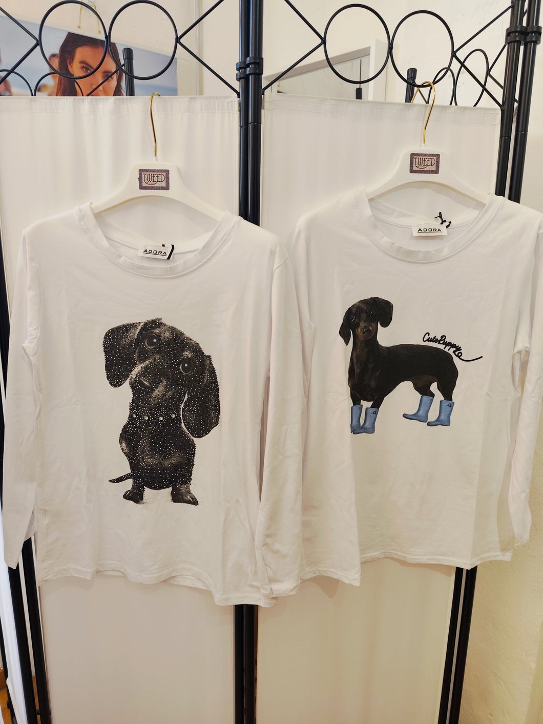 Maglia Bassotto